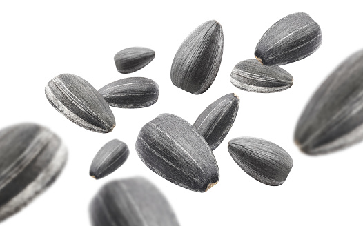 Flying sunflower black seeds, isolated on white background