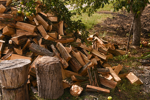 lots of firewood. ecological fuel for heating.