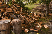Firewood on the grass. Ecological fuel made of natural wood.