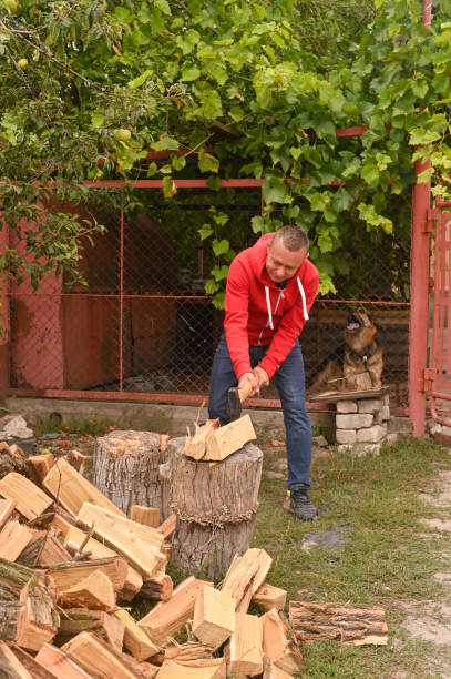 istock a man is chopping wood. alternative sources of heating. 1423717503