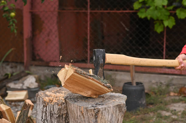 istock the axe cleaver splits a wooden log in half. 1423717675