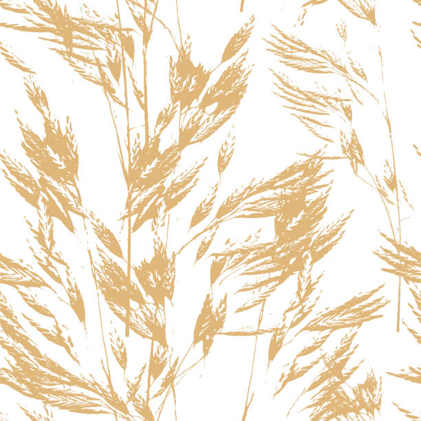 illustrations, cliparts, dessins animés et icônes de motif sans couture d’avoine. texture de fond vectorielle avec flocons d’avoine beiges, emballage d’aliments sains - oat cereal plant oat flake backgrounds