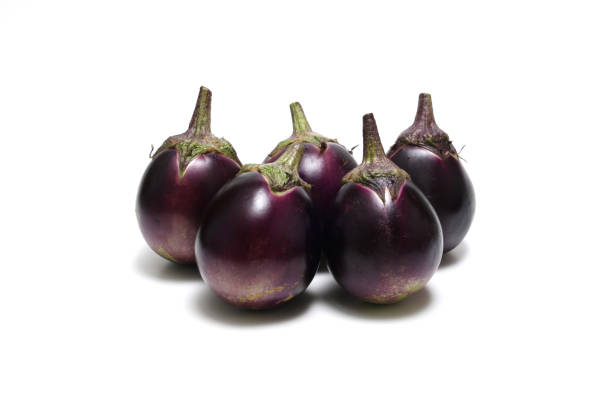 Round eggplants isolated on a white background. stock photo