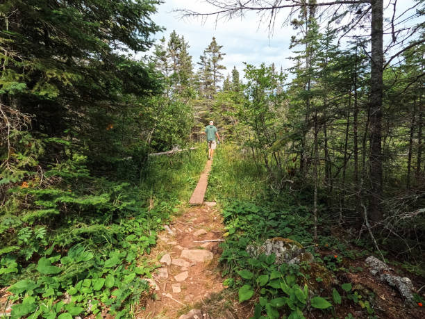 istock Single Man Walking Over a Bridge in the Forest 1423730157