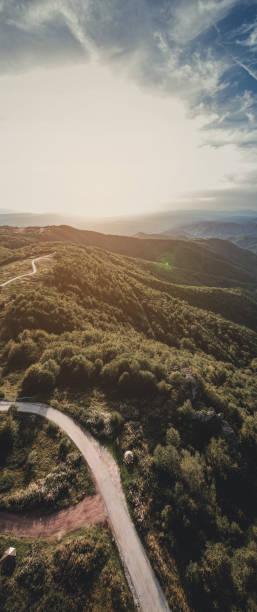 istock Beautiful autumn forest, early autumn 1423734033