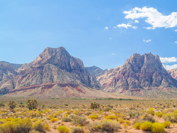istock Nevada desert landscape with rock uplift showing iron oxide red stripes under blue sky. 1423738448