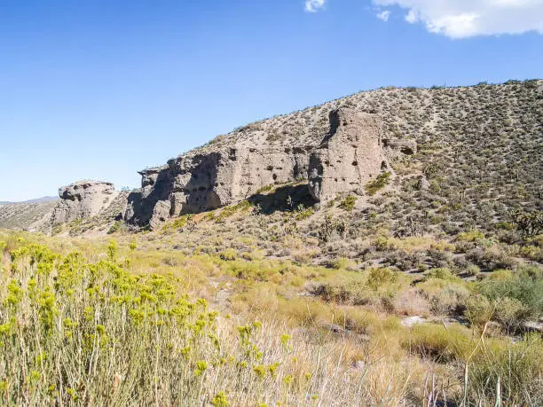 Rock cliff and valley with low desert vegetation in Mojave desert Nevada.