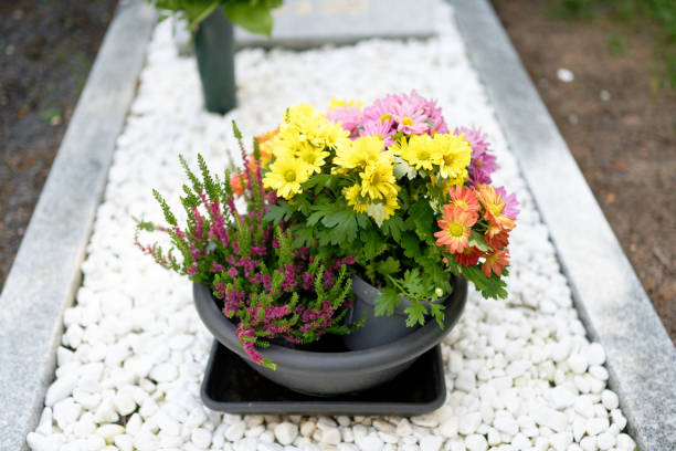 A row of vibrant flower arrangements decorates wall-mounted cemetery niches, with a soft focus creating a dreamy, respectful atmosphere. The flowers, both real and artificial, bring color and life to the memorial space in a peaceful outdoor setting.