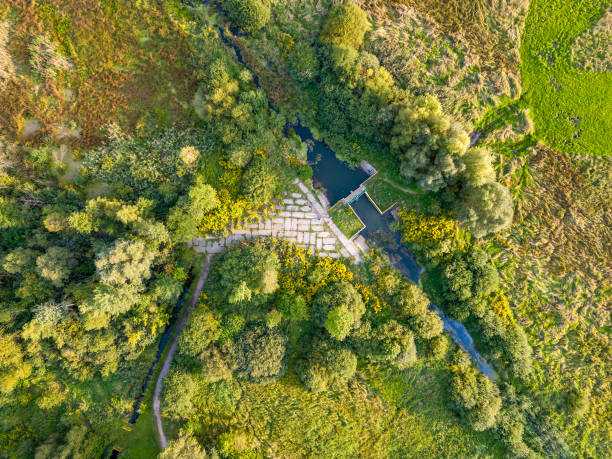 istock View of the forest and fields from the drone 1423743317