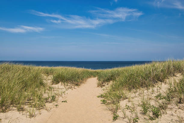 istock Path to an ocean beach on a sunny summer day. 1423747328