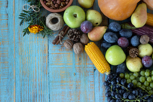 Thanksgiving day table with various fruit (pumpkin, grapes, apple, plum, pear, and nuts) on a rustic wooden background with copy space. Top view. Fresh and healthy autumn food.