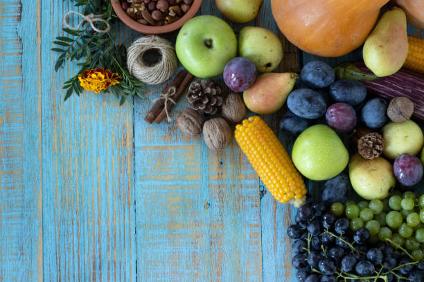 Thanksgiving day table with various fruit on a rustic wooden background with copy space stock photo