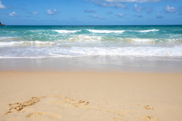 istock The Turquoise colored sand blue sky on sunny day and space on the sky and cloud 1423747982