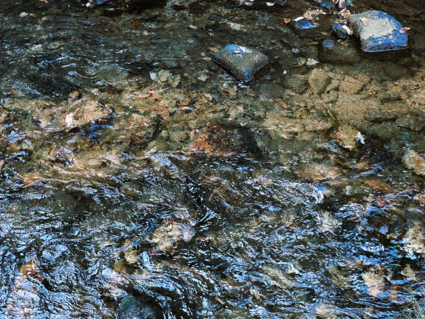 istock rushing river water stream wild wilderness forest mountain nature backdrop wet rocks background 1423748949