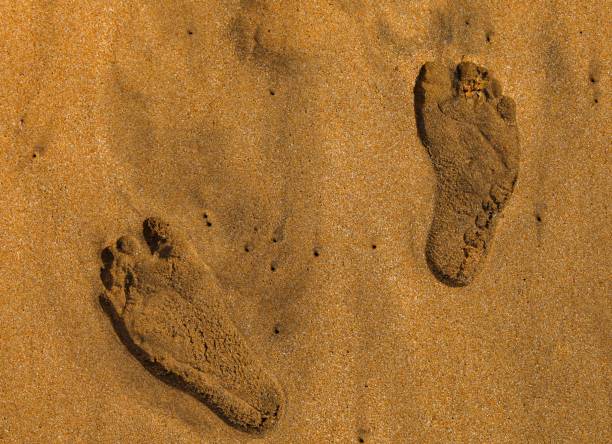 istock Footprints at the beach of Temara in Morocco 1423752399