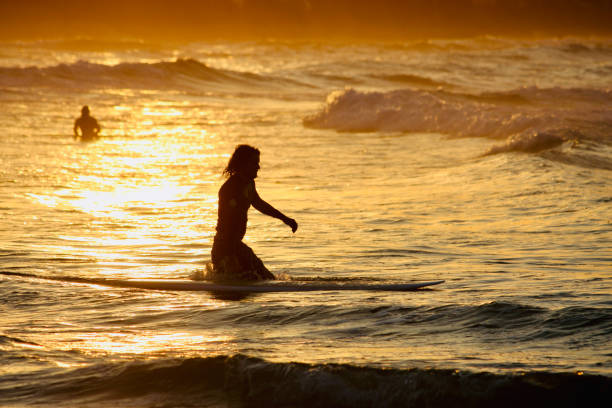 Male Surfer at Sunset stock photo