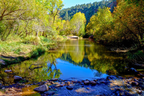 Fall comes to the East Verde River
