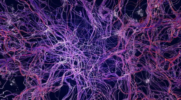 Brain connections, synapse, medical illustration under a microscope. Neurons and veins, 3d rendering. Neural connections, brain diseases Brain connections, synapse, medical illustration under a microscope. Neurons and veins, 3d rendering. Neural connections, brain diseases neuralgia stock pictures, royalty-free photos & images