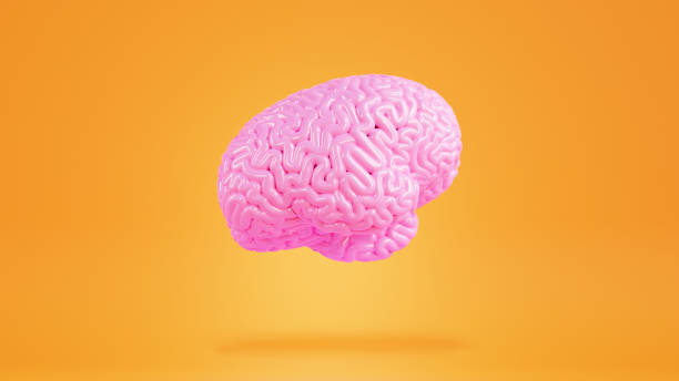 istock Human brain, minimalistic 3D illustration. Brain floating in the air, 3d Render. Concept of brainstorming, intelligence, imagination, education 1423765519