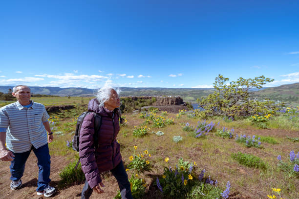 istock Fit and active mixed race retiree couple hiking together 1423766534