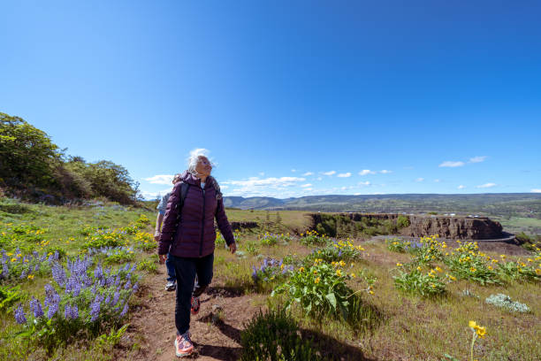 istock Fit and active mixed race retiree couple hiking together 1423766543