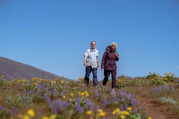 istock Fit and active mixed race retiree couple hiking together 1423766547