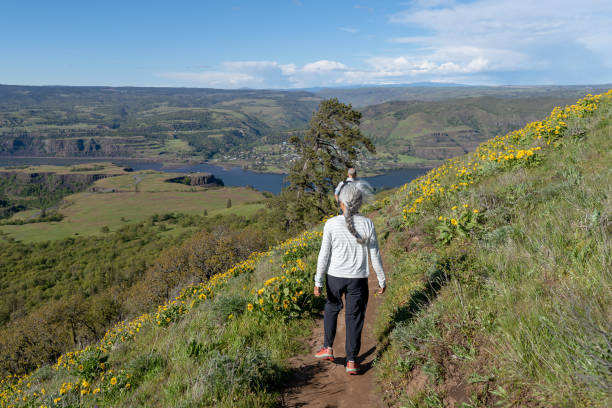 istock Fit and active mixed race retiree couple hiking together 1423766677