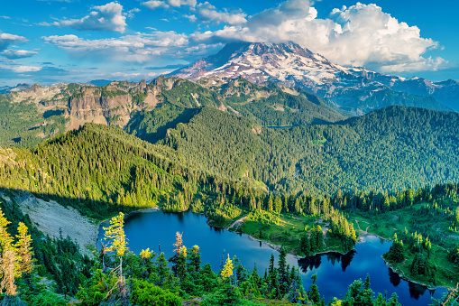 Mt. Shuksan reflected in Picture lake at North Cascades National Park, Washington, USA