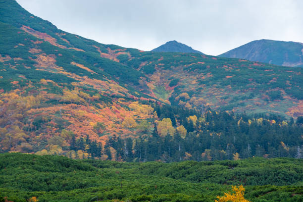 istock Colorful autumn forests and alpine peaks 1423769110
