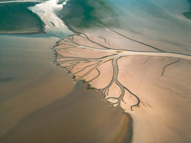 istock Drought scene in Poyang Lake, Jiangxi, China 1423774473