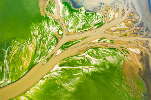 Drought scene in Poyang Lake, Jiangxi, China