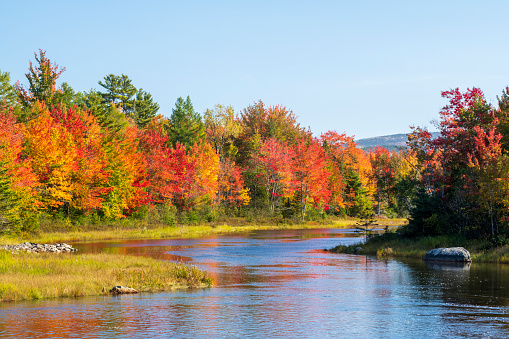 Fall colors, Bar Harbor, Maine, USA