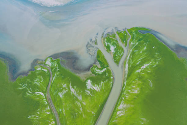 istock Drought scene in Poyang Lake, Jiangxi, China 1423774901
