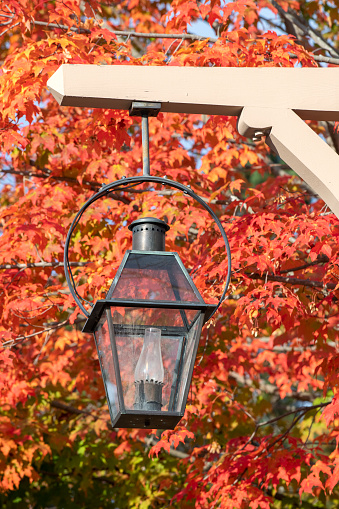Street lamp with mapple tree in Autumn, Bar Harbor, Maine, USA