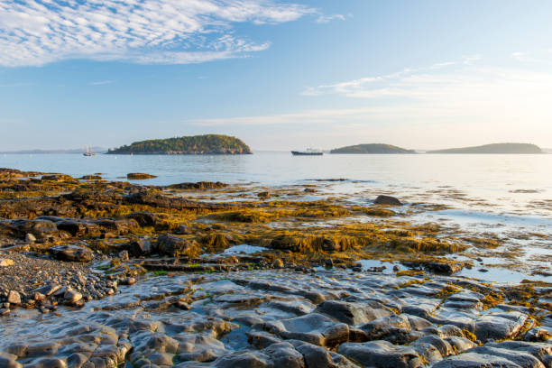 Frenchman Bay at Sunrise, Bar harbor, Maine, USA