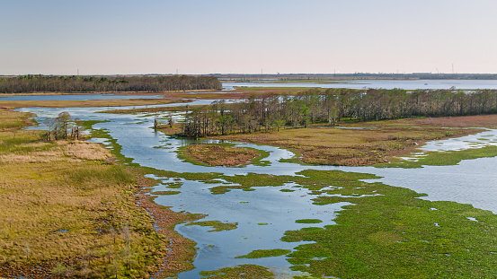 Aerial shot of wilderness off Interstate 10 by the Louisiana - Texas state border on a clear and sunny spring day.