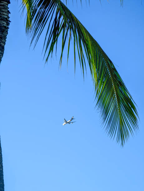 istock secret beach oahu island hawaii 1423780822