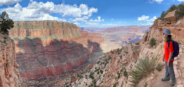 Panoramic view of South Kaibab Trail and young girl hiker with a cactus on the foreground, Grand Canyon Panoramic view of South Kaibab Trail and young girl hiker with a cactus on the foreground, Grand Canyon, USA south kaibab trail stock pictures, royalty-free photos & images