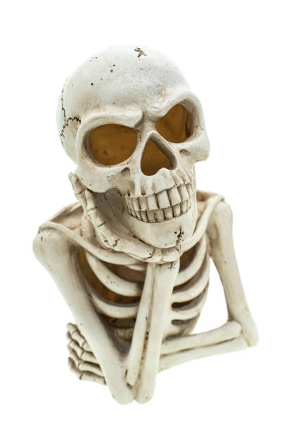 istock skull sitting and thinking isolated on white background 1423788685