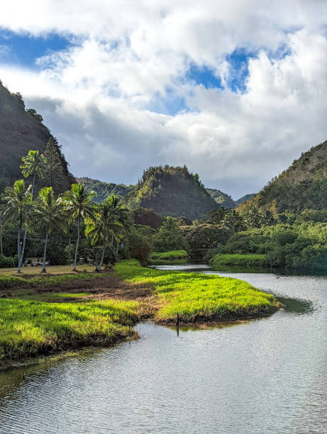 istock scenery at wimea botanical garden in oahu hawaii 1423790335