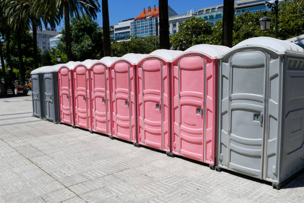 Gray and pink mobile bio toilets for men and women Gray and pink mobile bio toilets for men and women in park portable toilet stock pictures, royalty-free photos & images