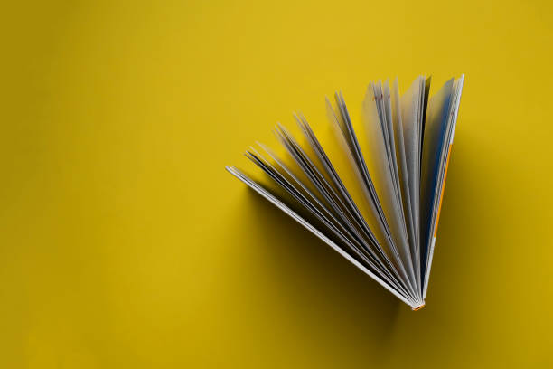 istock directly above view of the opened book on pastel background, spreaded pages 1423794129