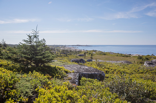 Beehive Trail  - Acadia National Park, Maine coastline