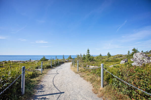istock Rocky Coastal Terrain 1423799948
