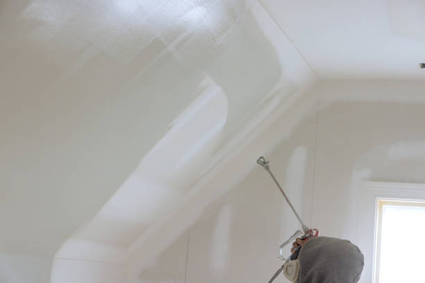 istock Using a spray gun and a primer, the worker paints the walls and ceilings using a spray gun that has a primer in it. 1423803402