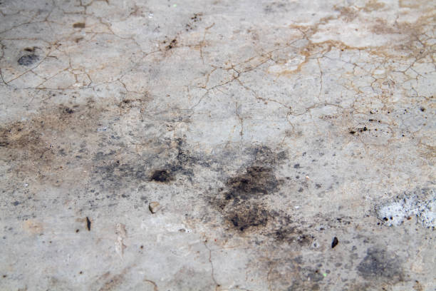 istock the floor made of cement 1423808432