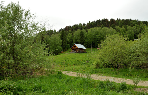 A small wooden house on a hillside behind a dense coniferous forest on a cloudy summer day. Altai, Siberia, Russia.