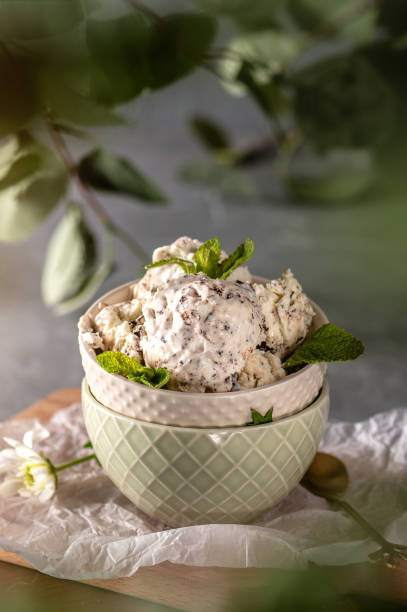 istock Homemade ice cream with chocolate 1423816205