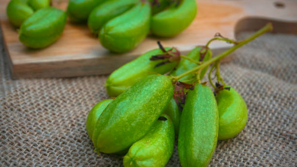 istock Belimbing wuluh, Vegetable starfruit or sour starfruit (Averrhoa bilimbi L.) 1423818404