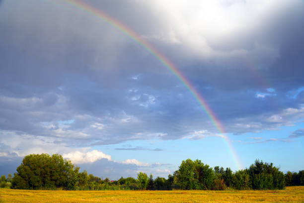 istock Rainbow on the background of storm clouds over mown meadow 1423828311